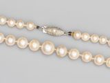 un collier de perles blanches muni d'un fermoir en argent, sur fond gris