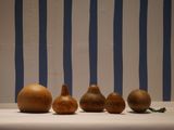 several gourds are lined up on a table in front of a striped wall