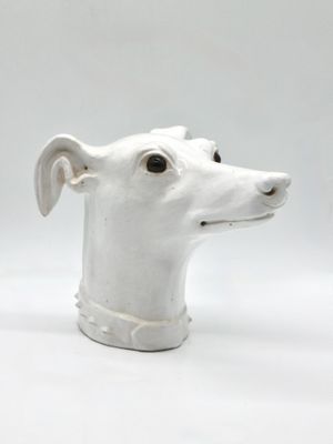 a white dog head with a collar on it ' s neck
