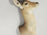 une tête d'antilope accrochée au mur d'une pièce blanche