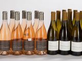 plusieurs bouteilles de vin sont alignées sur une surface blanche
