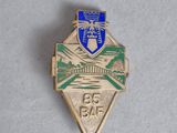 un gros plan d'un insigne posé sur une surface blanche, orné d'un blason bleu et vert