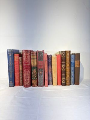 de nombreux livres anciens alignés sur une surface blanche