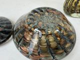 two glass vases sitting next to each other on a table