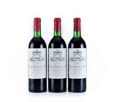 trois bouteilles de vin rouge posées l'une à côté de l'autre sur une surface blanche