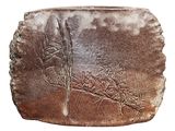 an image of a stone with a tree on it
