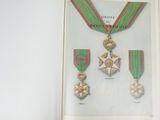 a picture of a book with a picture of medals on it
