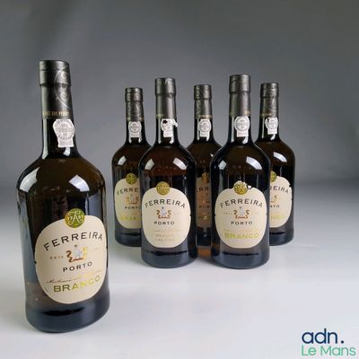 plusieurs bouteilles de vin sont alignées sur une surface blanche