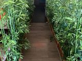 many potted plants that are lined up in the hallway