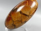 a picture of a large brown stone on a clear stand