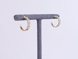a pair of gold hoop earrings on a stand