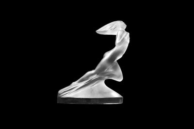 black and white photograph of a sculpture of a bird on a black background