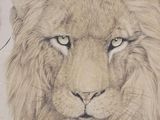 painting of a lion with a butterfly in its mouth