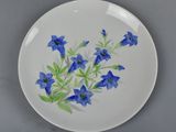 a white plate with blue flowers painted on it