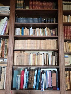 de nombreux livres qui se trouvent sur les étagères de la pièce