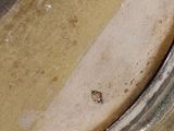 a close up of a metal pan with a brown substance on it