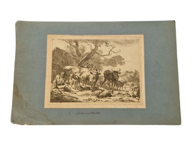 an old book with a picture of a herd of cattle