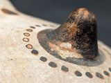 a close up of a horse ' s head with a hat on it