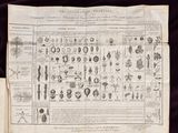 a black and white image of an old book with a bunch of pictures on it