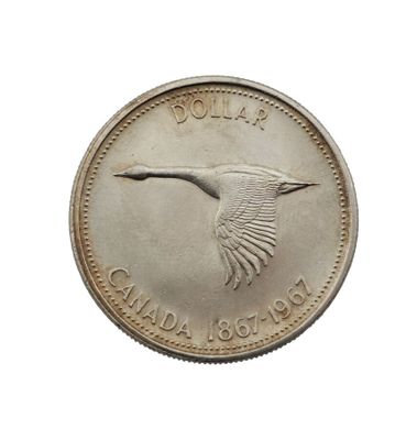pièce de monnaie canadienne représentant une grue en plein vol sur fond blanc