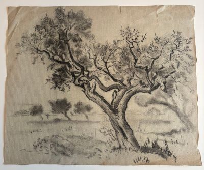 Jos Henri PONCHIN (1897 - 1981), "Étude d'arbre".