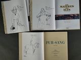 three pages of a book with drawings of a woman and a horse