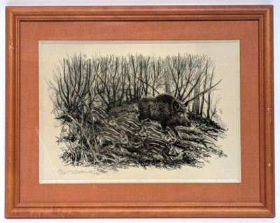 une image représentant un dessin d'un sanglier dans les bois