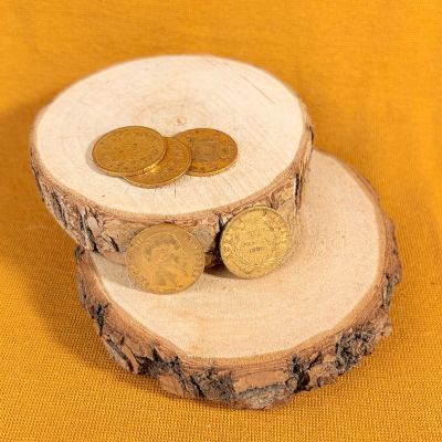 two wooden slices with coins on them on a yellow background
