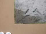 a picture of a picture of a dog with writing on it