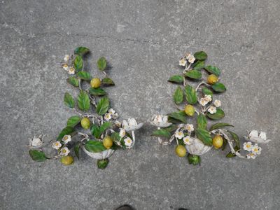 une personne debout à côté d'une plante en pot sur laquelle poussent des citrons