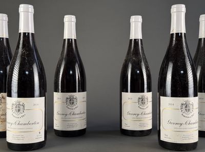 six bouteilles de vin sont alignées sur une table