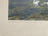 two sheep that are standing in the grass together
