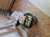 a trash can filled with coins and a plastic bag on the floor