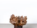 un petit vase contenant un gros morceau de bois