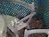 an old chair that is sitting in the dirt