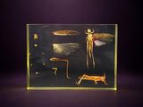 a glass box with a picture of insects inside of it