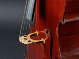 the back end of a double bass with a hand holding the strings