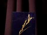 a dried plant in a blue box on a purple cloth