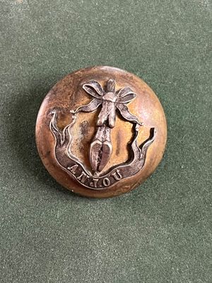 l'image d'un insigne posé sur une surface verte
