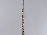 a silver flute on a clear stand with a white background