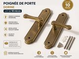 pair of antique brass door handles with screws and hardware