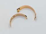 a pair of gold plated horns on a white surface