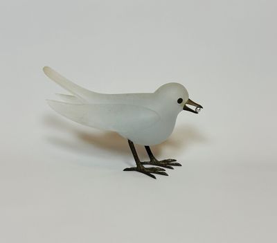 a white bird that is standing on a white surface