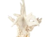 figurine of a white duck on a rock on a white background
