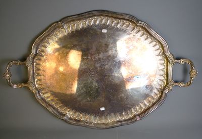 a silver tray with handles and a mirror on the wall