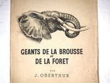 un vieux livre sur lequel figure l'image d'un éléphant