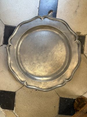 a silver plate on the floor next to a brown dog