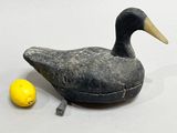 a duck that is next to a lemon on a table