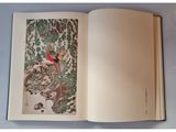 an open book with a picture of a bird on a tree