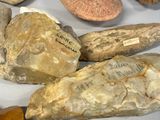 many different types of rocks on display on a table